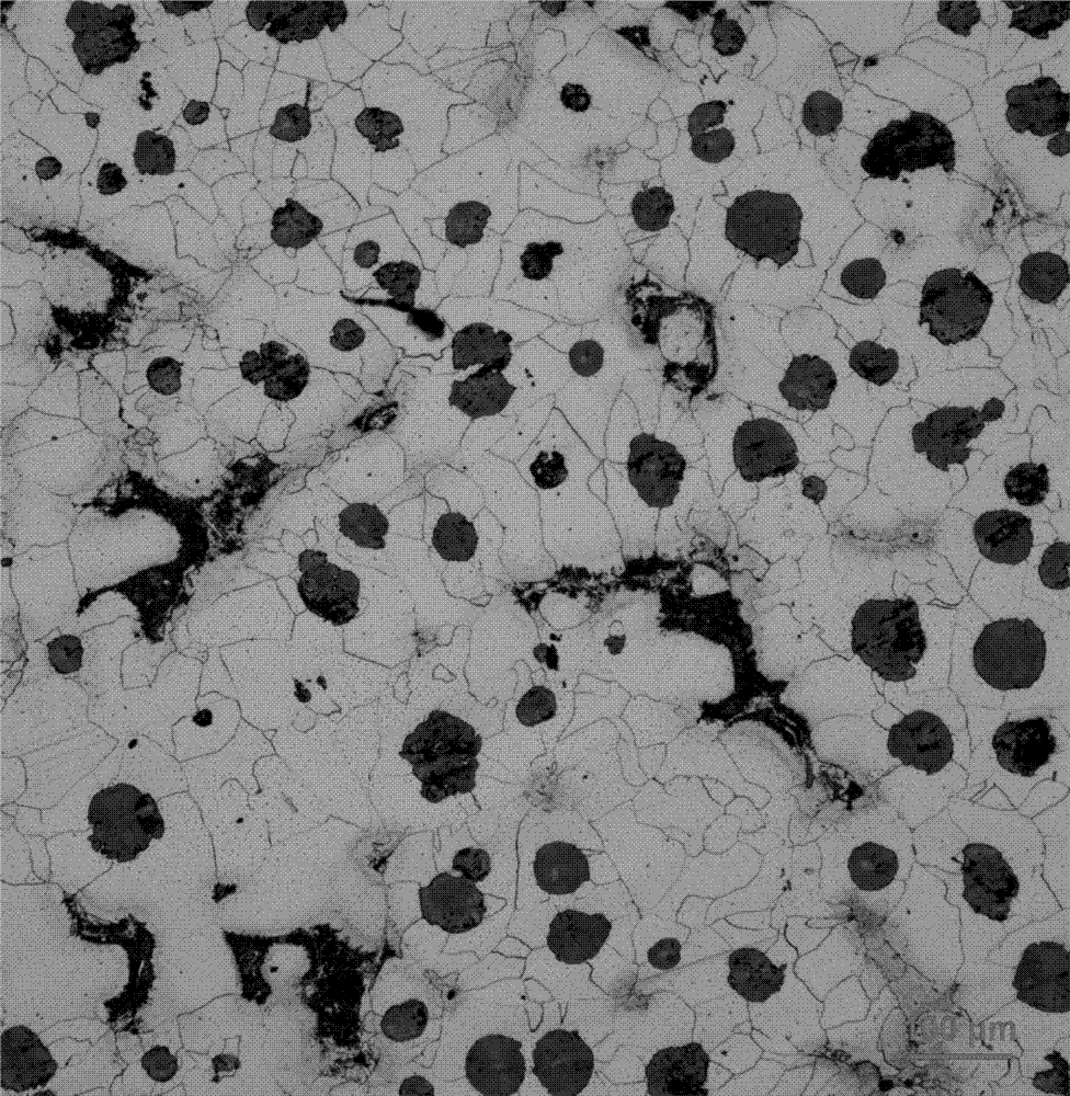 Synthesis and preparation process of a kind of high silicon molybdenum nodular iron material