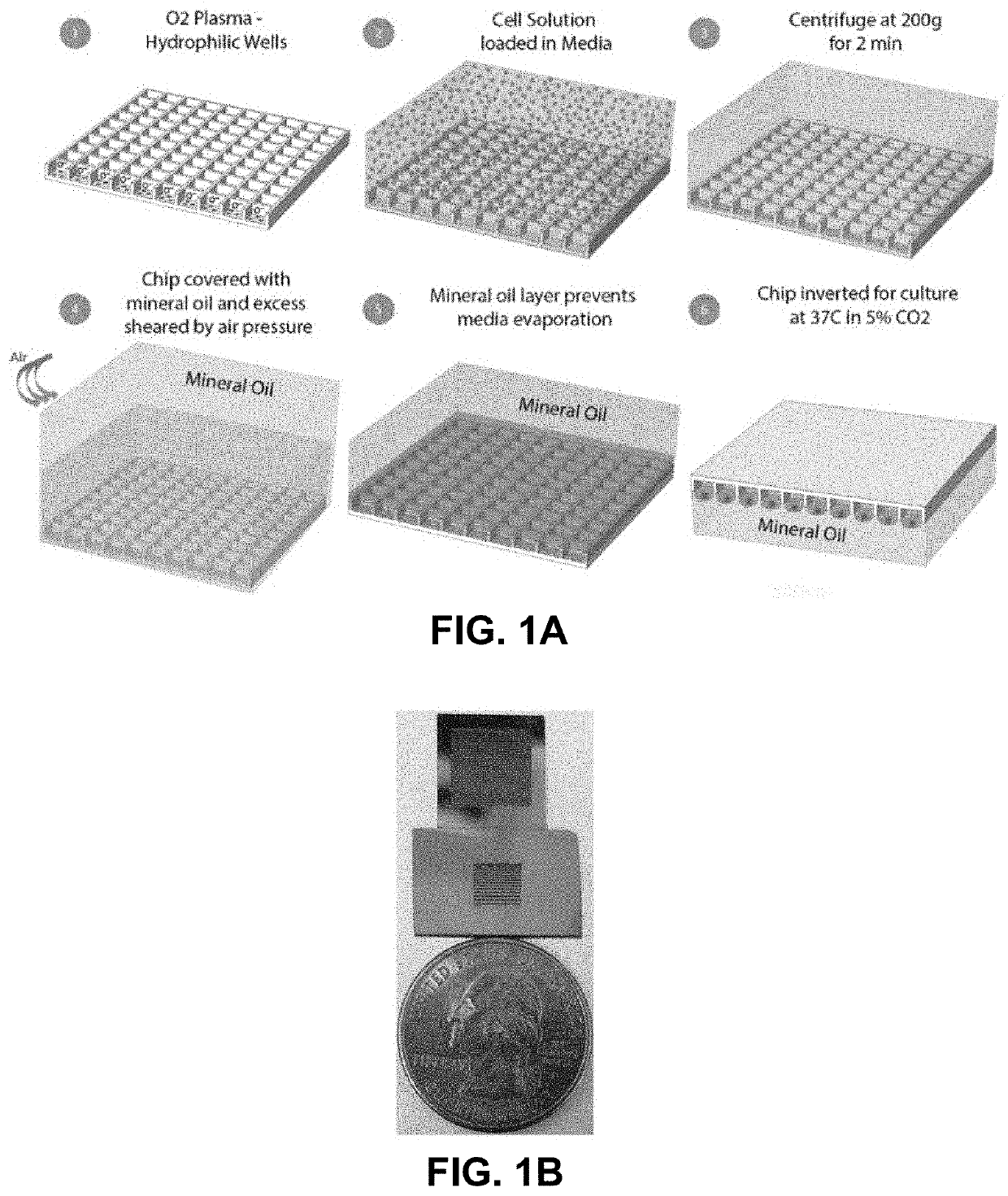 Microchip high density hanging drop three-dimension culture platform