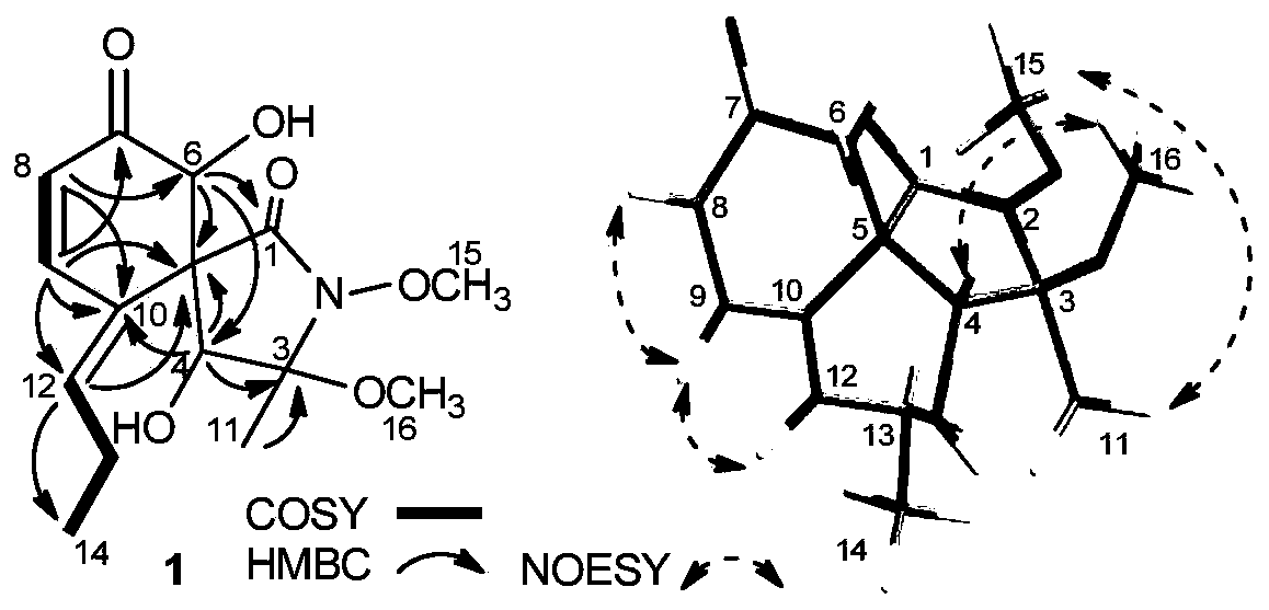 Spirocyclosporine x and its application in the preparation of medicaments for the treatment of influenza A