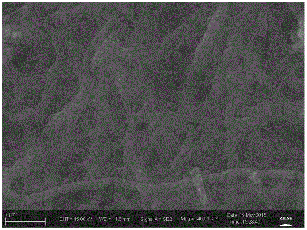 Nitrogen and phosphorus co-doped cobalt-based carbon fiber multifunctional electrochemical catalyst and preparation method thereof