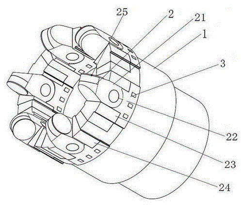 Bionic adaptive PDC drill bit