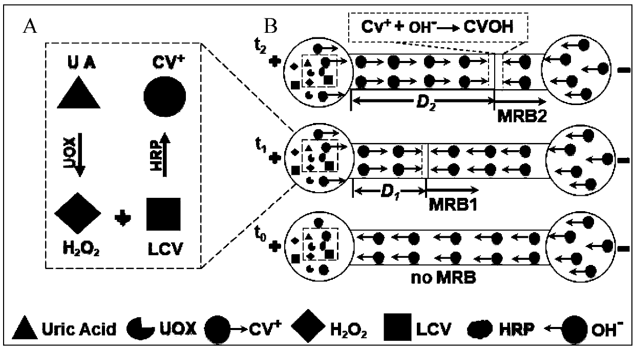 Visual measurement method for uric acid based on mobile reaction interface and electrophoretic titration chip