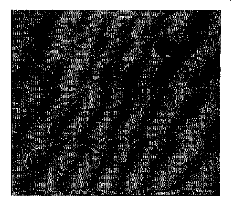 Synthetic detection kit for hybridization in situ and detection method