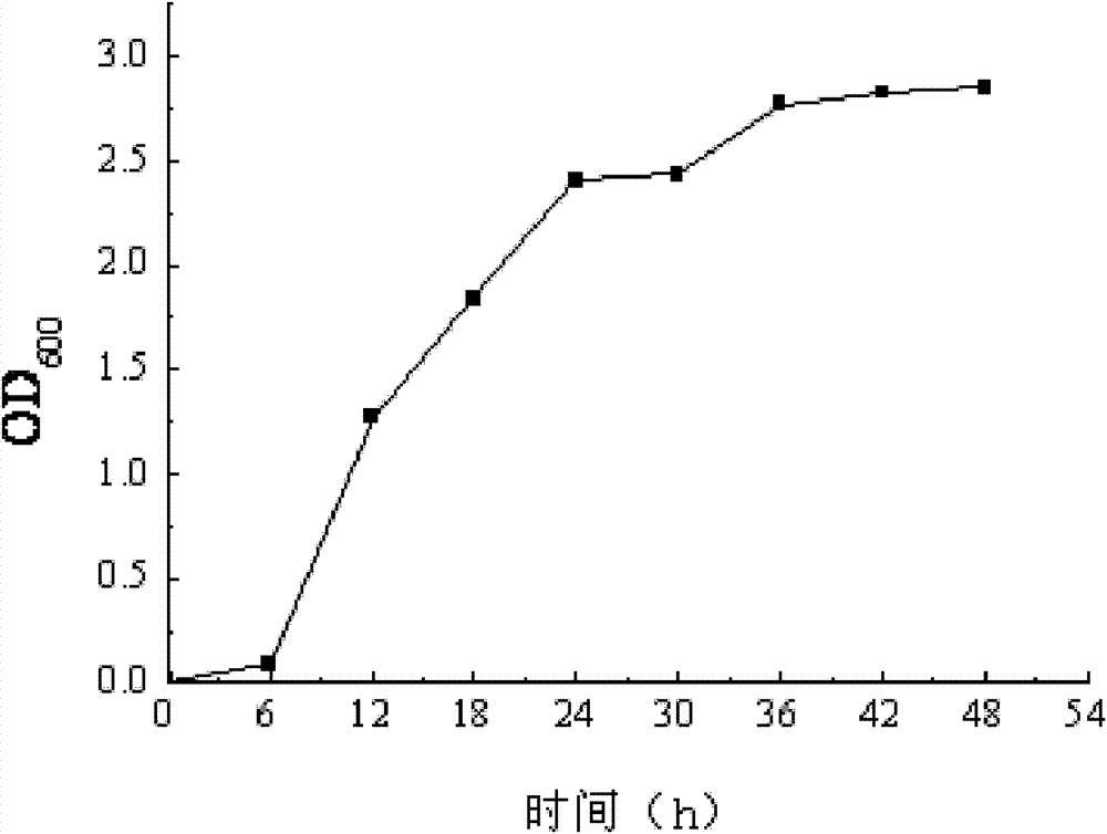 Yeast strain for generating surfactant and application thereof