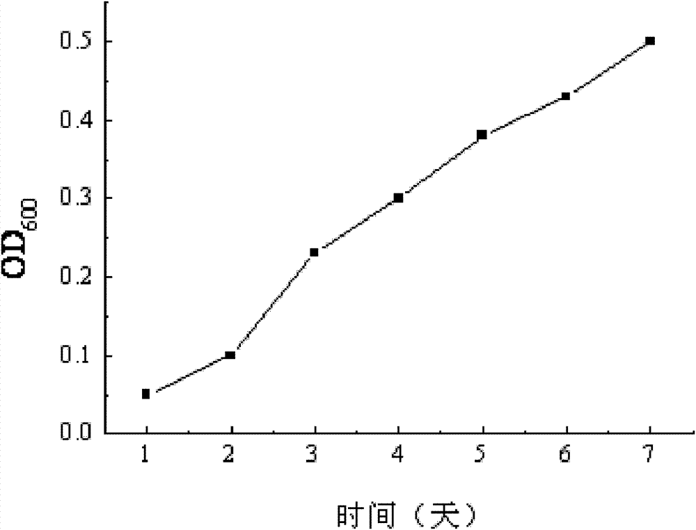 Yeast strain for generating surfactant and application thereof