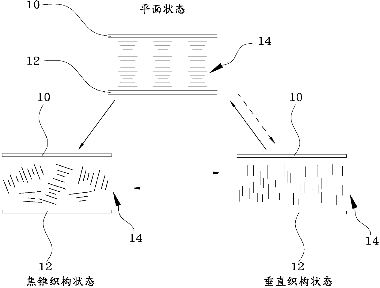 Cholesterol liquid crystal panel and manufacturing method thereof