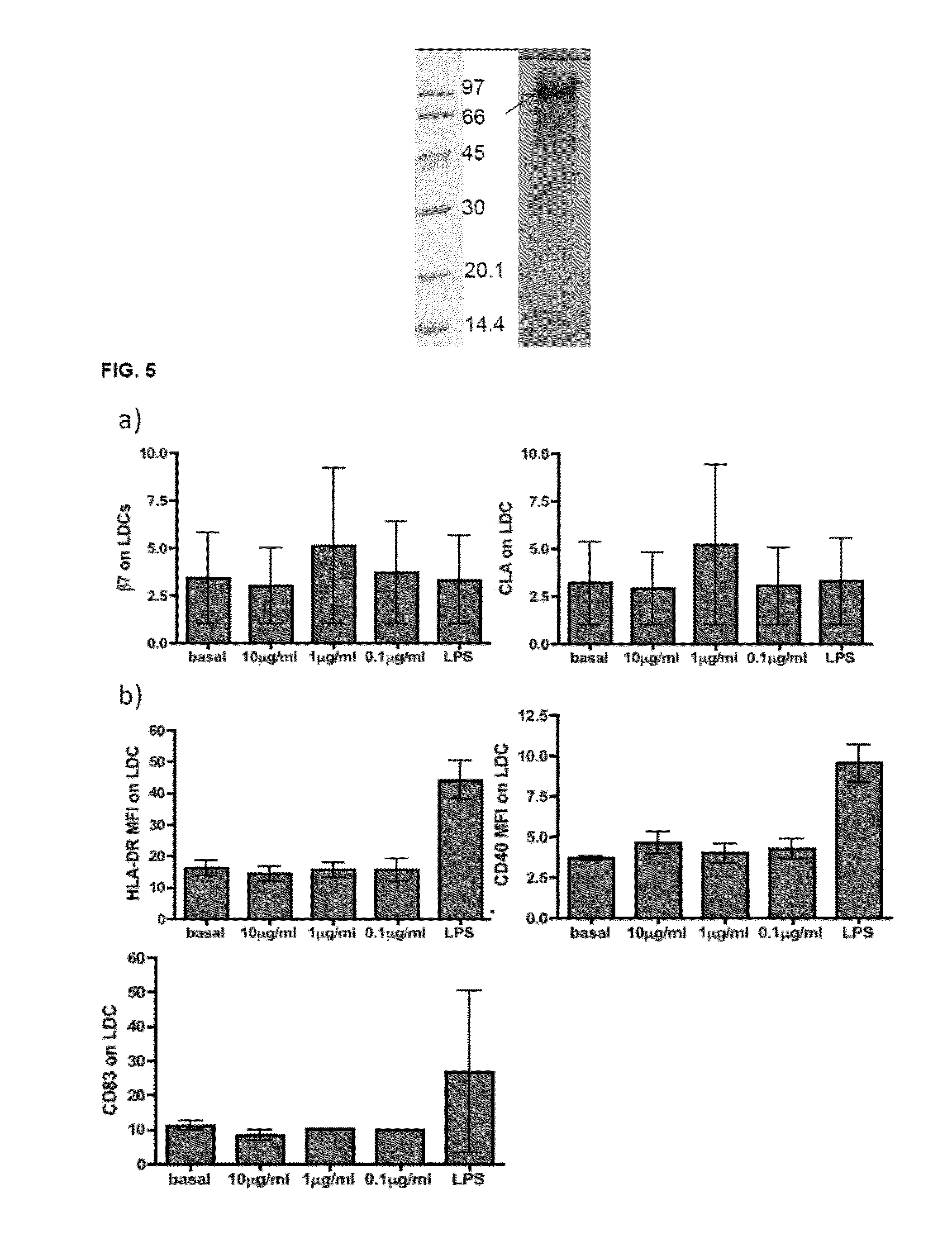 Peptide secreted by lactobacillus plantarum with immunomodulating function