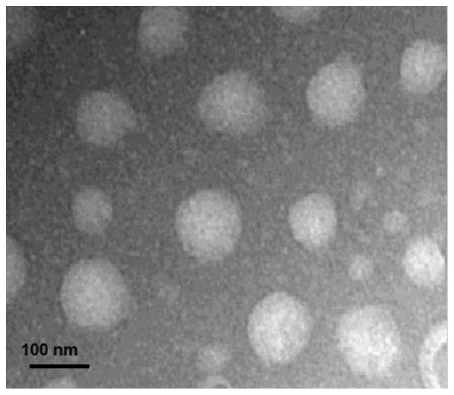 Benzovindiflupyr-loaded nano suspending agent as well as preparation method and application thereof