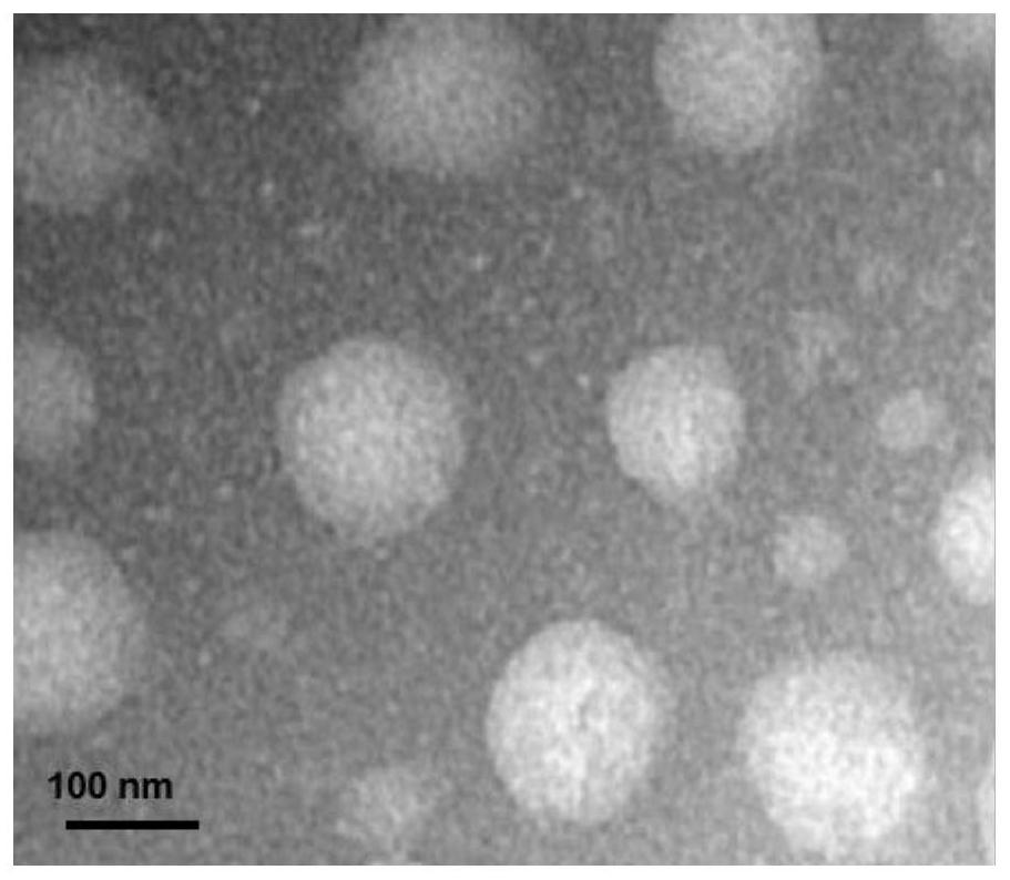 Benzovindiflupyr-loaded nano suspending agent as well as preparation method and application thereof