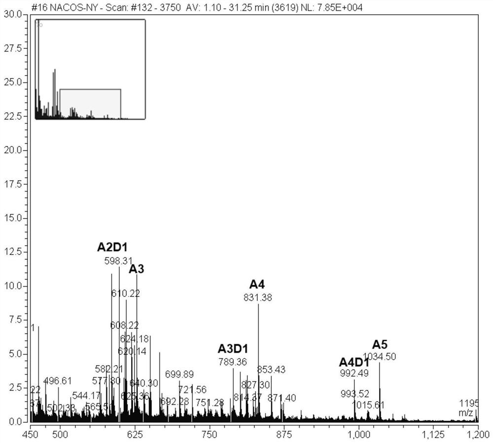 Puccinia graminis chitin deacetylase as well as preparation method and application thereof