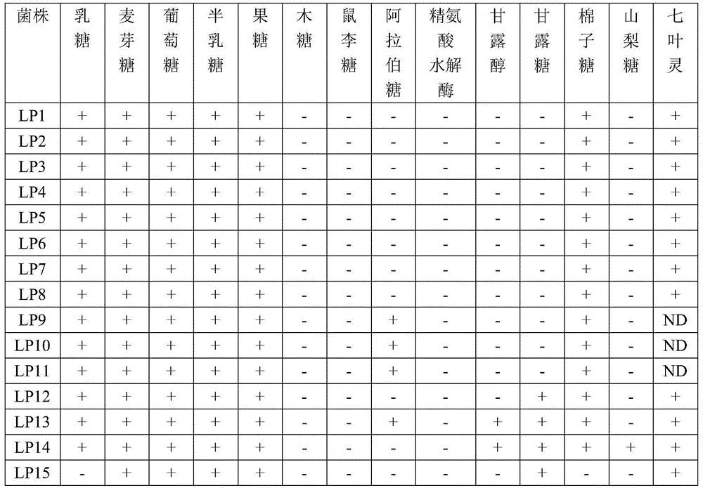 Lactobacillus agilis and application thereof