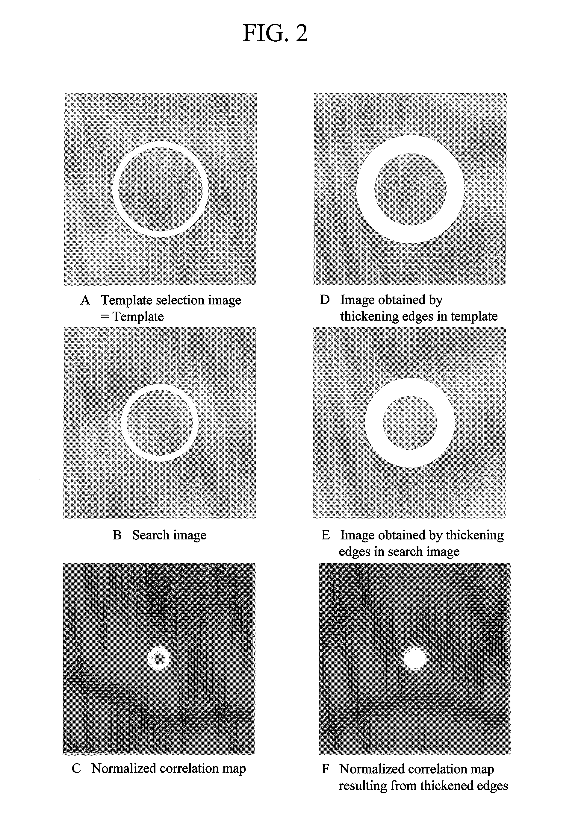 Image inspection apparatus