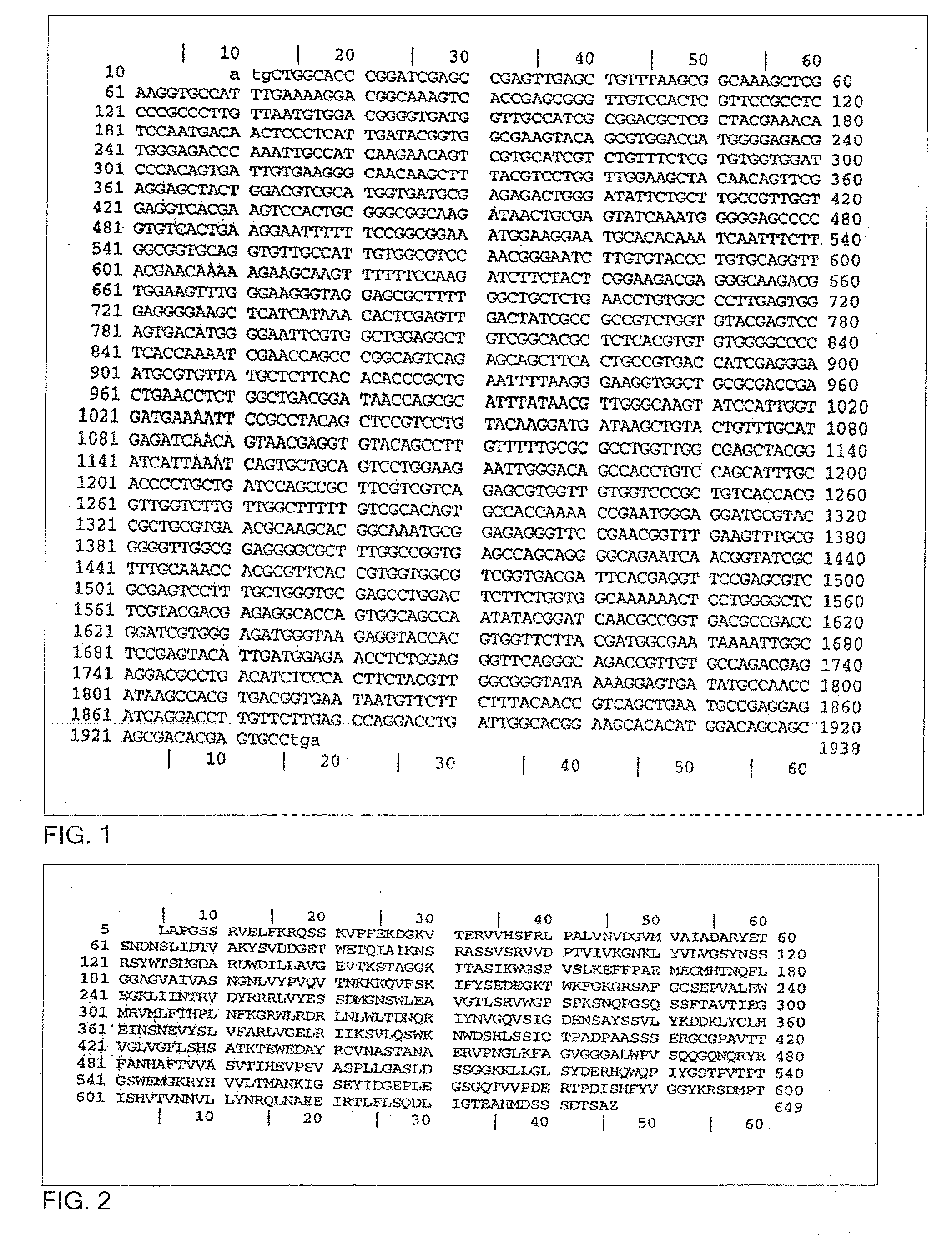 Multicomponent or monocomponent vaccine to be used against chagas disease, pharmaceutical compositions containing them, procedure for the obtention of immunogen of said vaccines, and nucleic acid used in said procedure