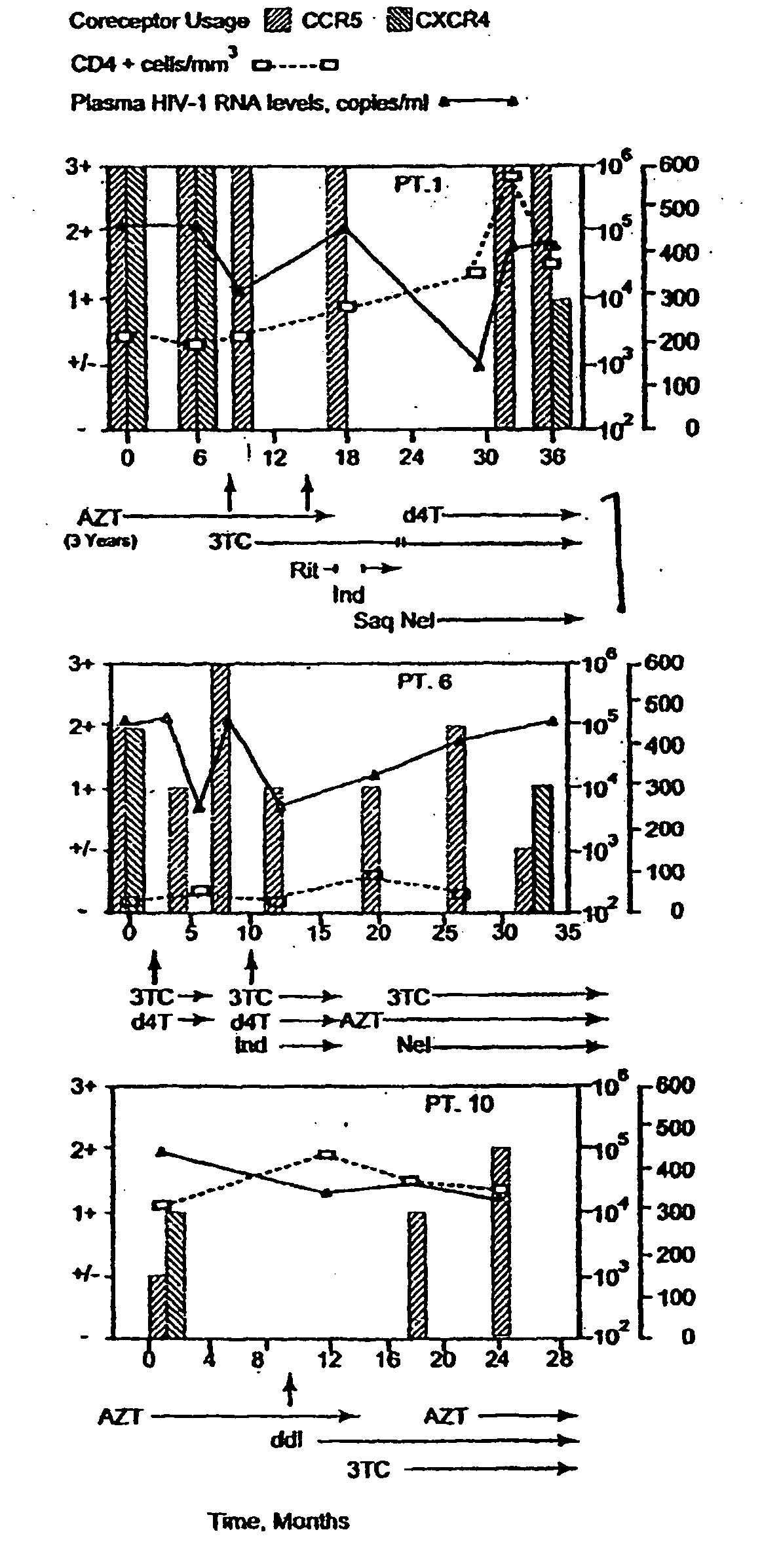 Heteroduplex tracking assay