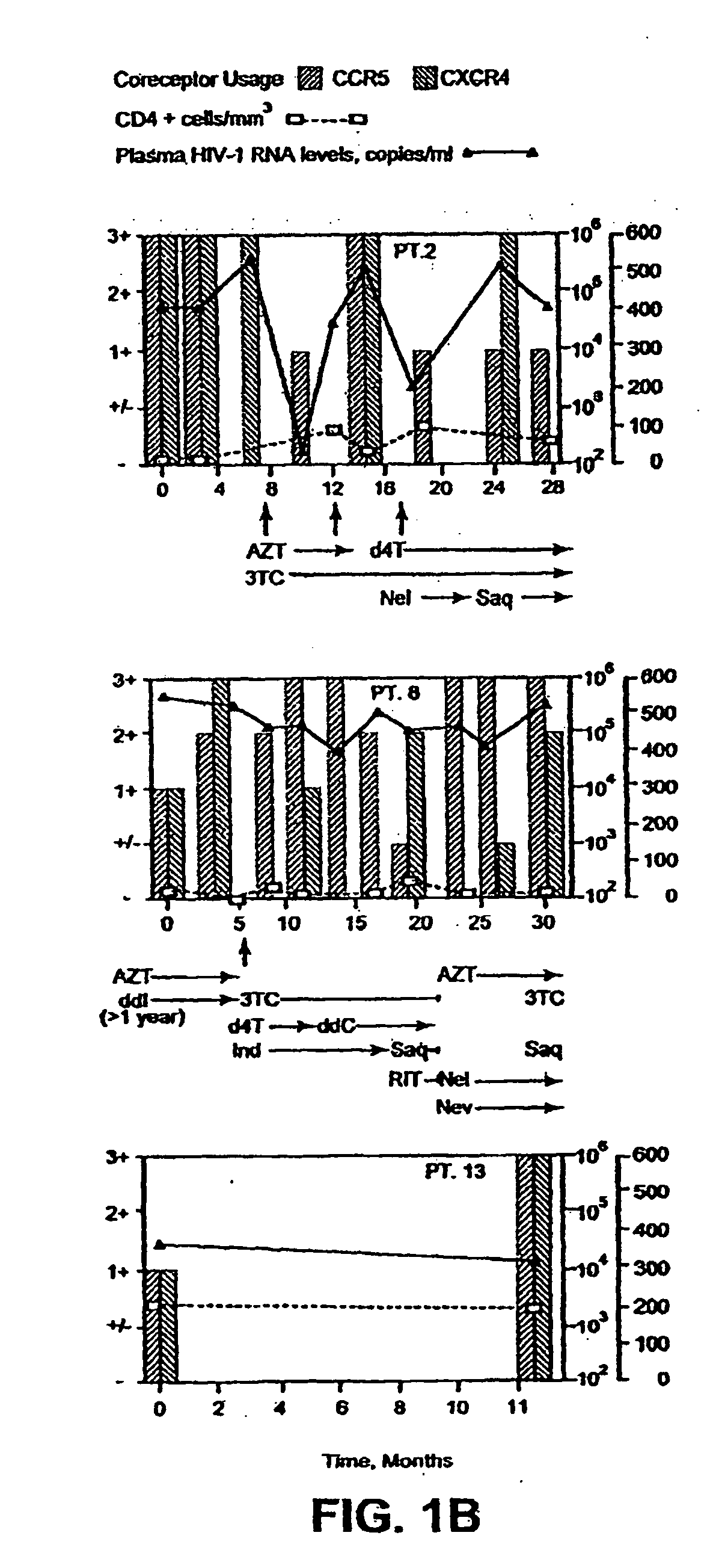 Heteroduplex tracking assay