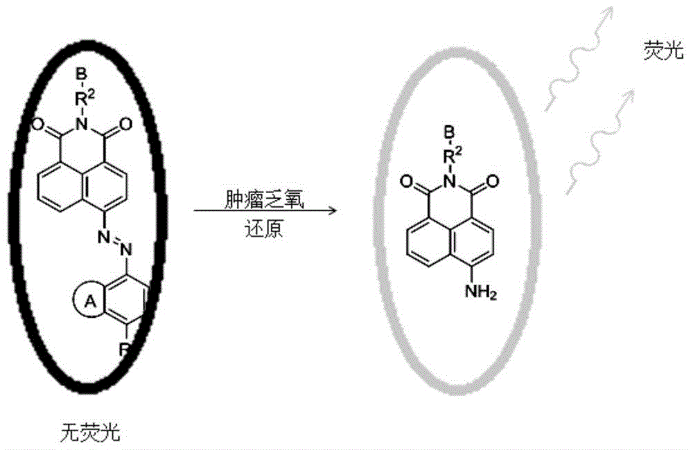 Compound for detecting tumor hypoxia and preparation method thereof