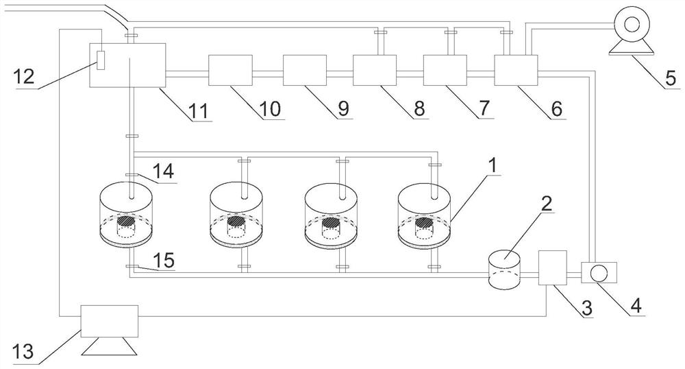 Method for accelerating the sexual maturation of Chinese horseshoe crabs and breeding system using the method