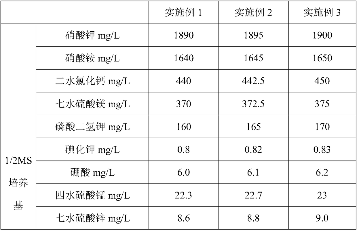 Initial culture medium for Pleione bulbocodioides and preparation method thereof