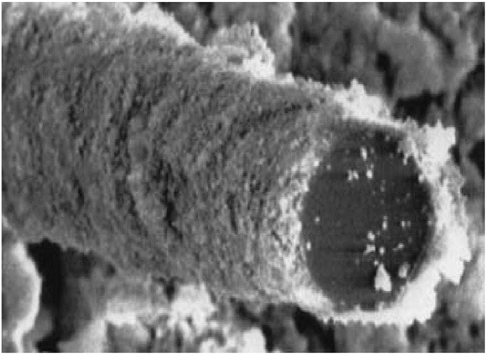 Preparation method of glass wool with low heat conductivity coefficients