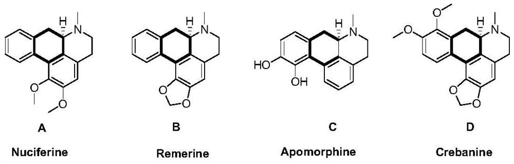 A kind of preparation method of dihydrogenation 9-phenanthrene amine compound and the chiral product thereof