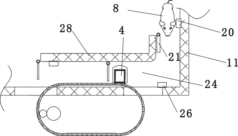 Intelligent pig feeding device and method