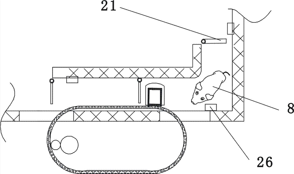 Intelligent pig feeding device and method