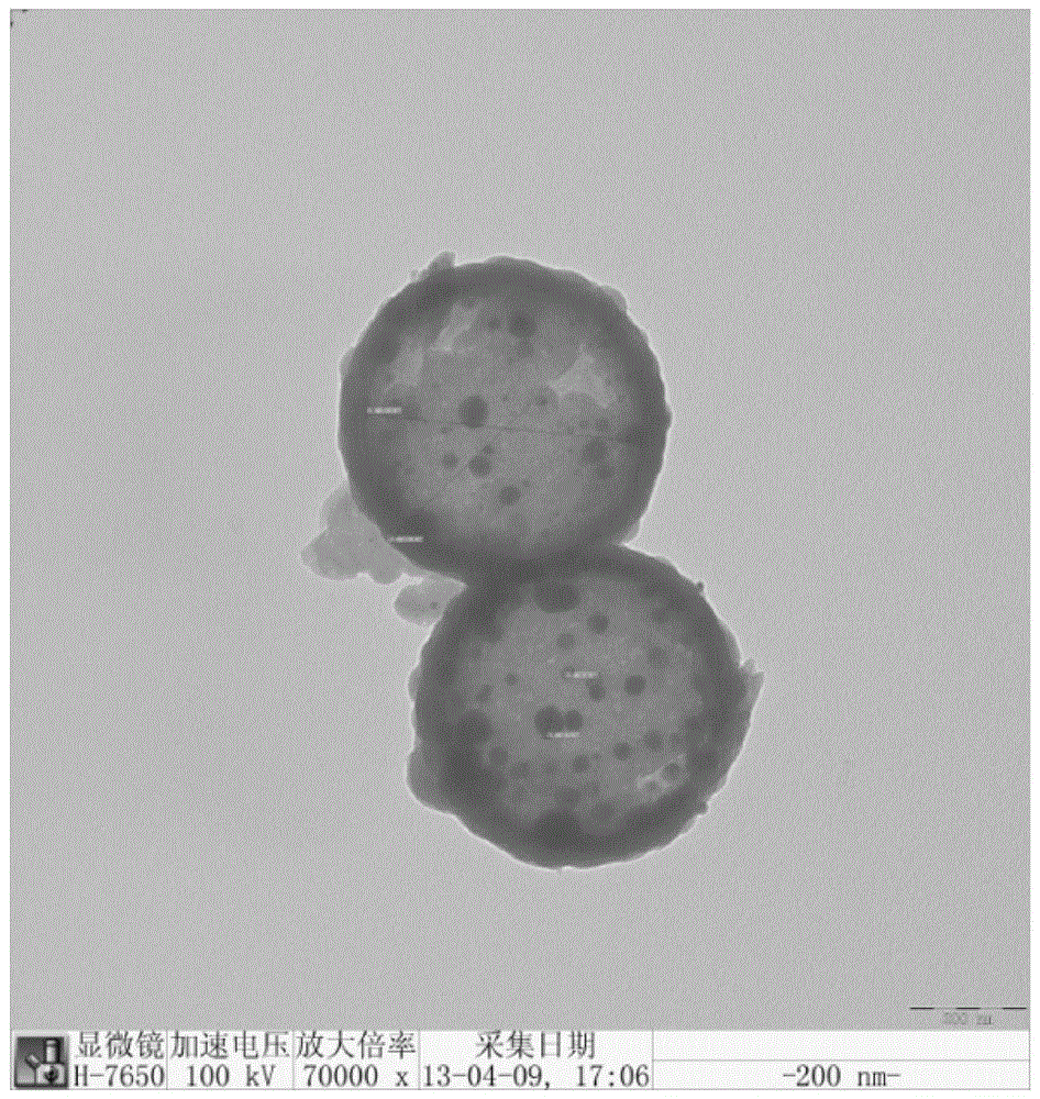 A DNA vaccine containing Newcastle disease ag@sio  <sub>2</sub> Preparation method of nanoparticles