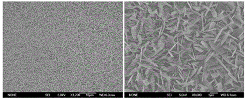 A kind of preparation method of metal organic framework MOF-2 polycrystalline film