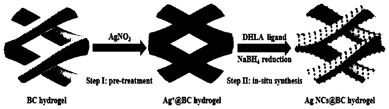 Antibacterial hydrogel, and preparation method and application thereof