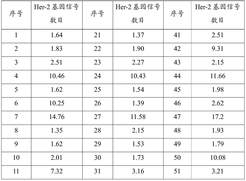 CDNA in situ hybridization probe of Her-2 gene, and preparation method thereof