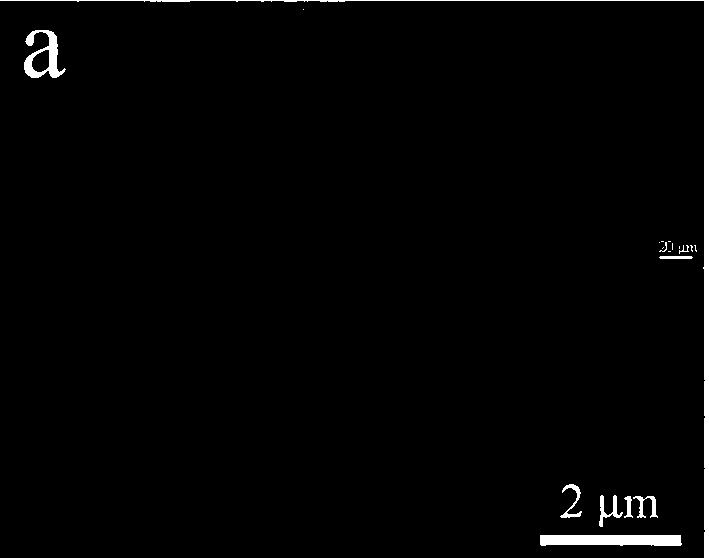 Method for preparing nitrogen-doped nickel sulfide hydrogen evolution catalyst by using annealing method and application of method