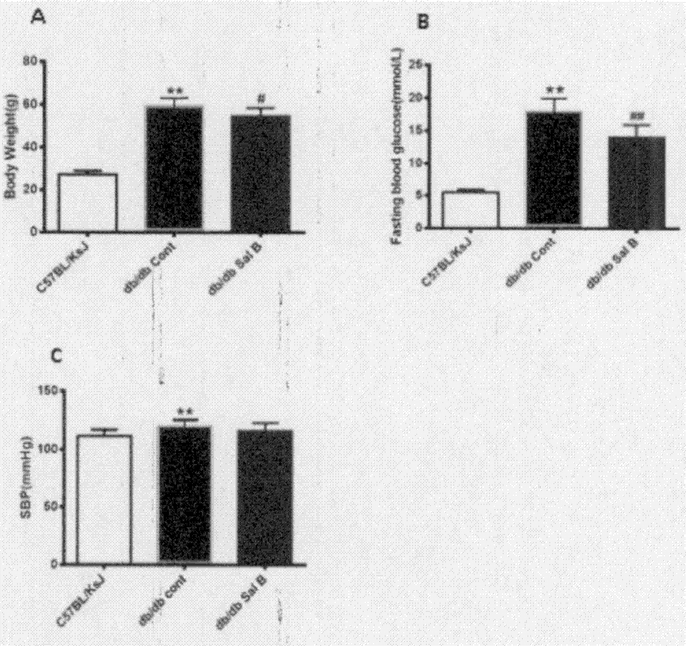 Medicine for relieving glucose and lipid metabolism disorder and improving vascular function and preparing method for medicine