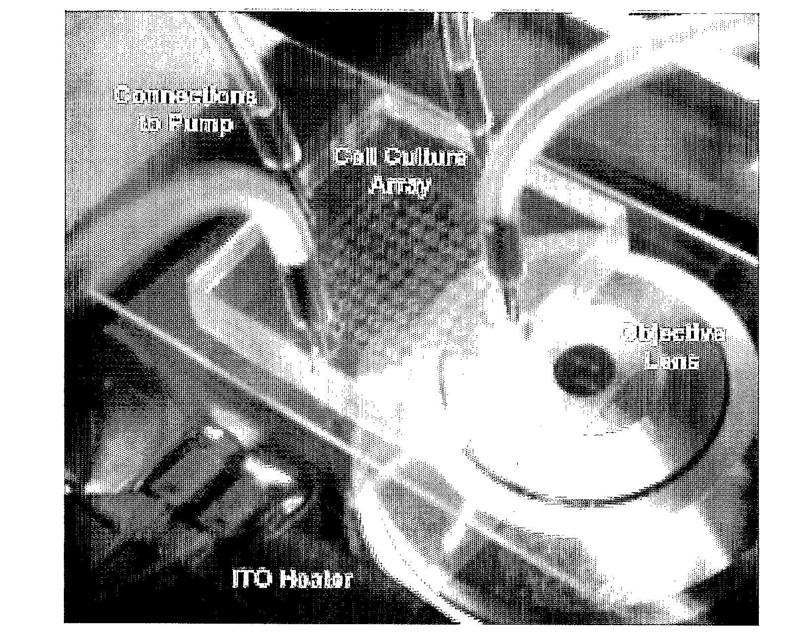 Methods and apparatus for cell culture array