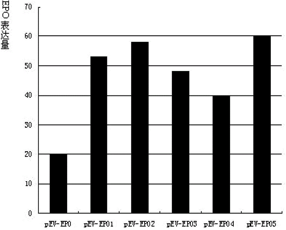 Artificially synthesized signal sequence and application thereof