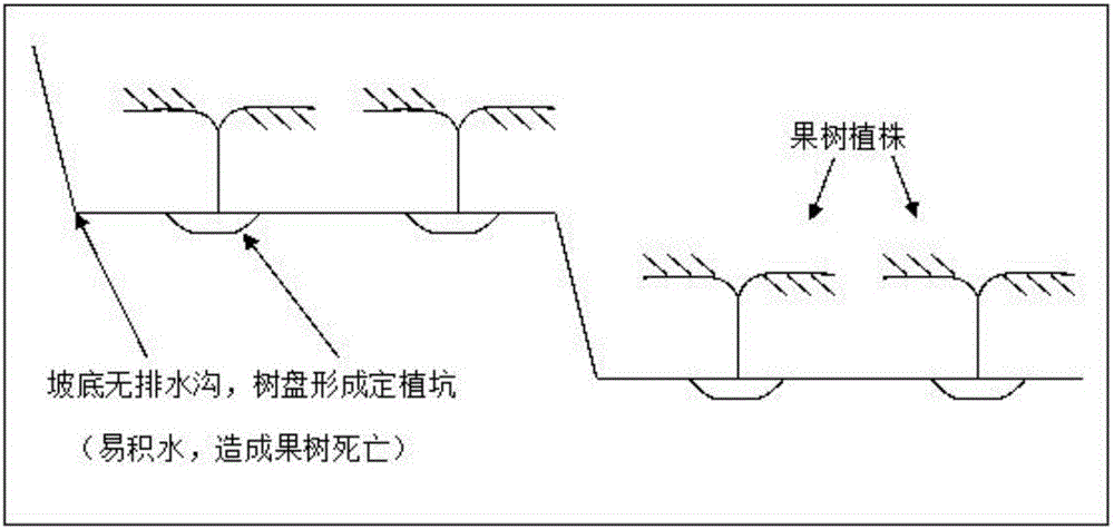 Method for changing slope orchard into civil engineering orchard