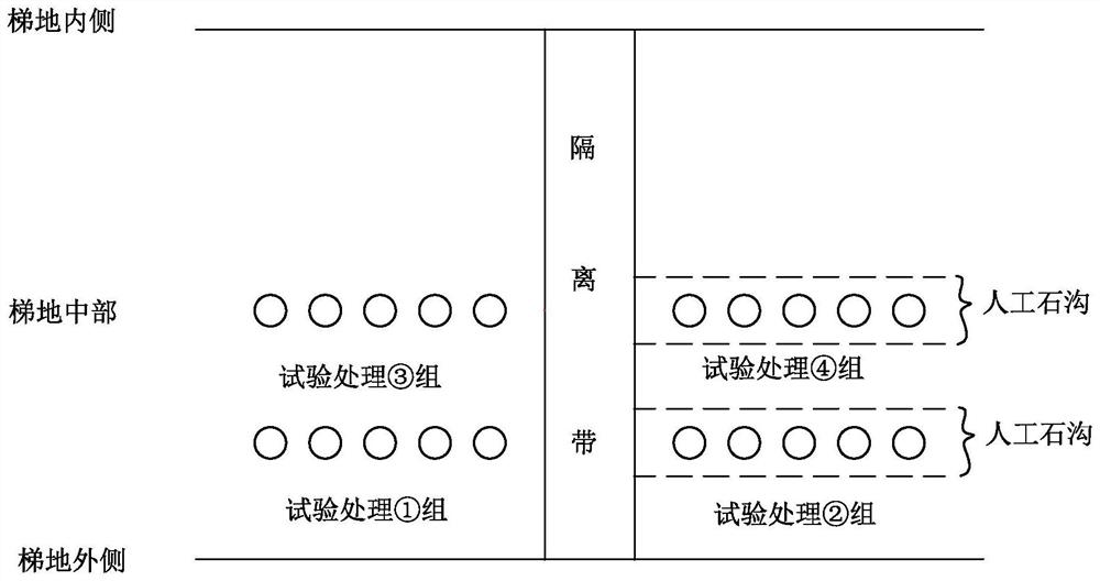 Method for improving seedling planting and afforestation efficiency in stony desertification area