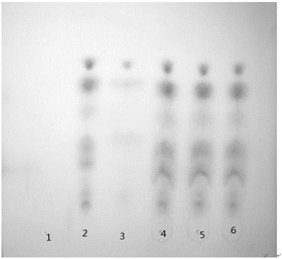 Preparation method of chick embryo extract