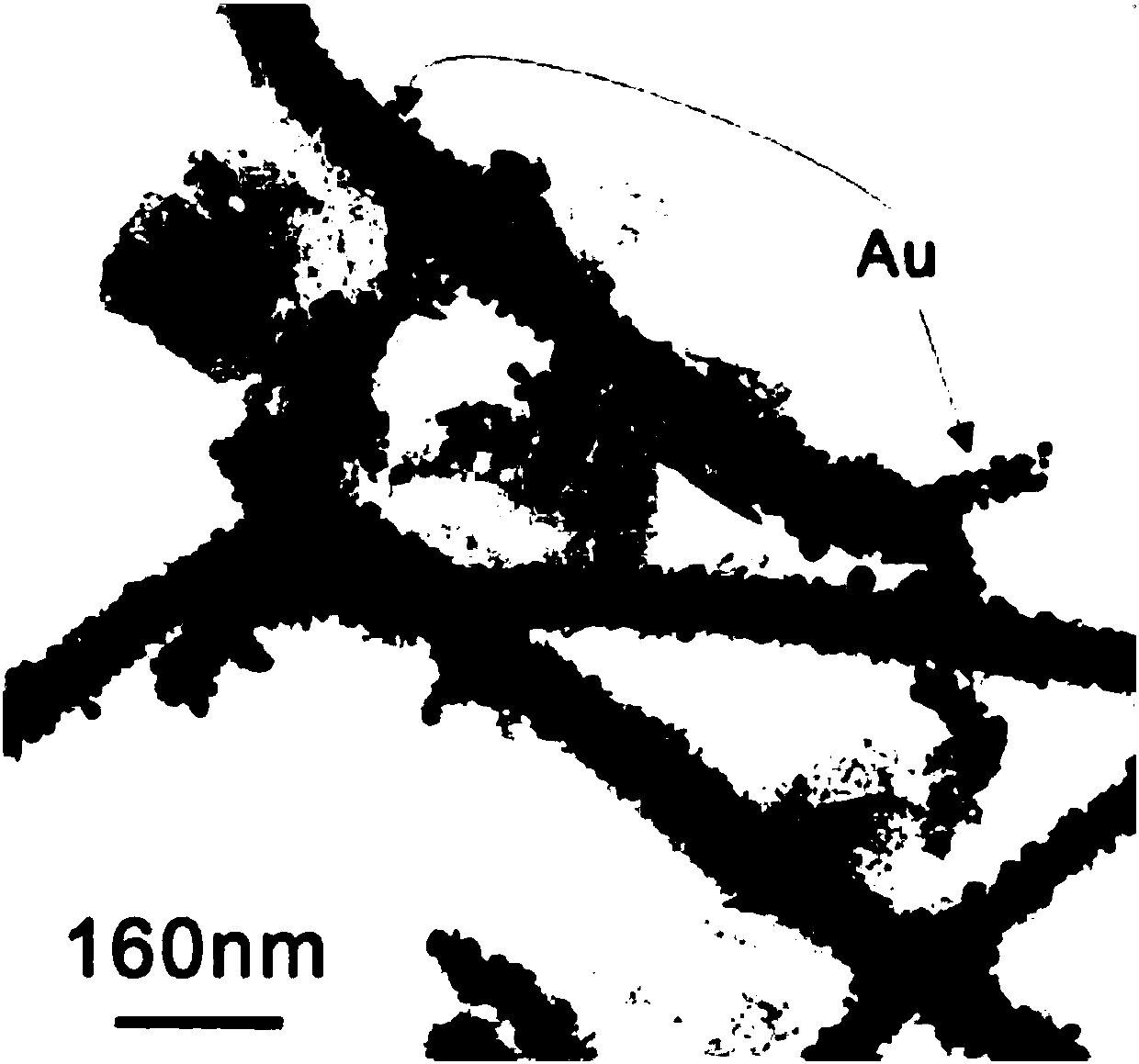 Thorny magnetic nickel telluride nano wires with functionalized gold nanoparticles as well as preparation, application