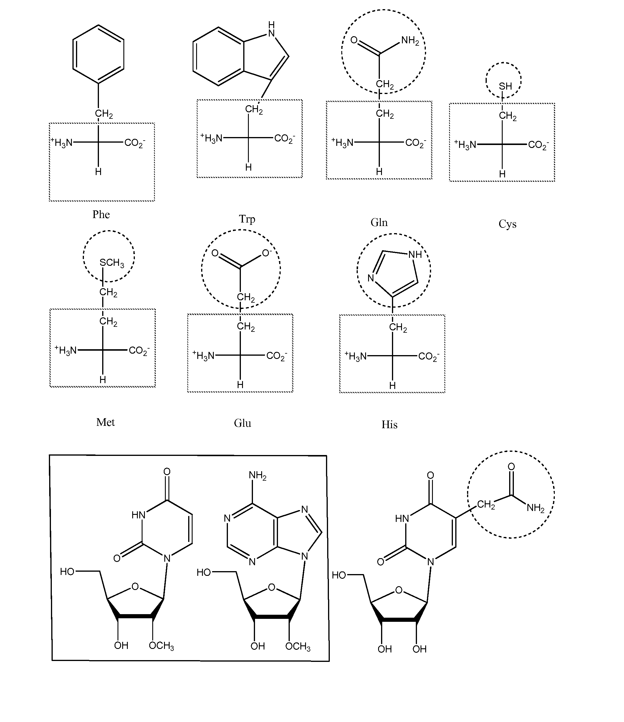 Screening methods for identifying specific staphylococcus aureus inhibitors