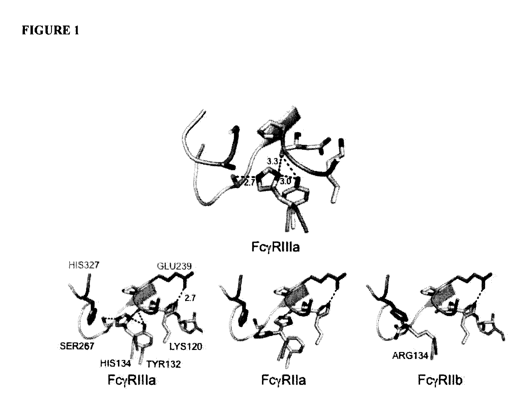 Antibodies with Enhanced or Suppressed Effector Function