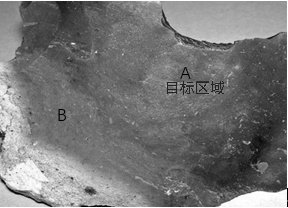 Cutting optimization method and system based on heterogeneous stone