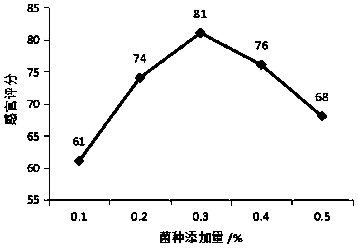 Preparation method of papaya enzyme composite beverage