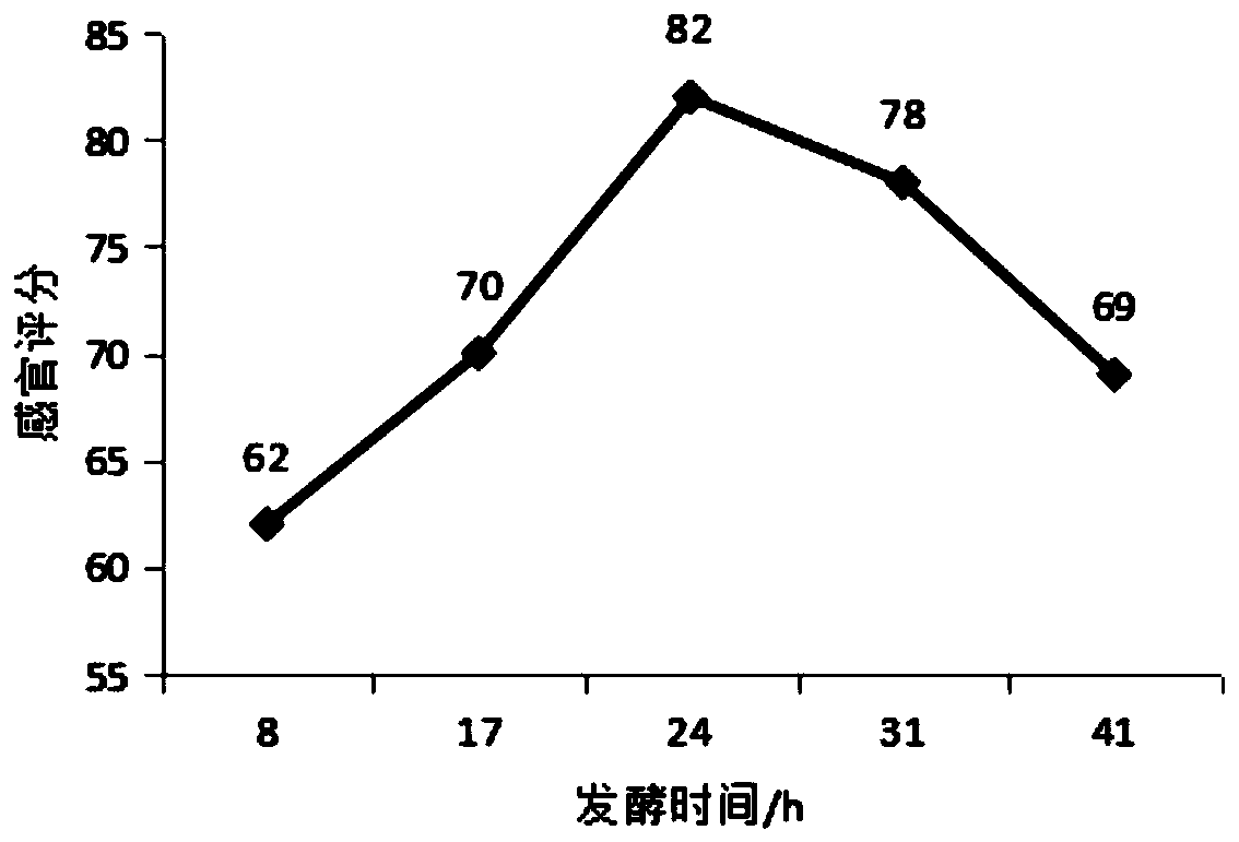 Preparation method of papaya enzyme composite beverage