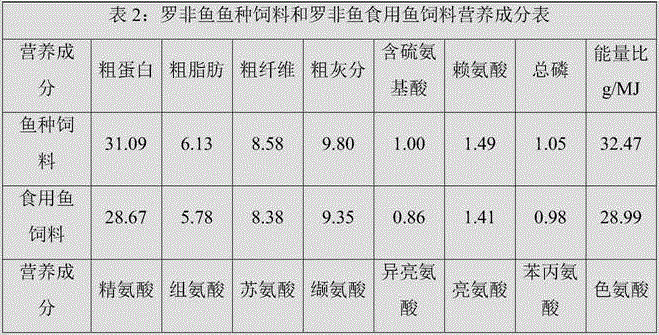 Feeding method for tilapia mossambica