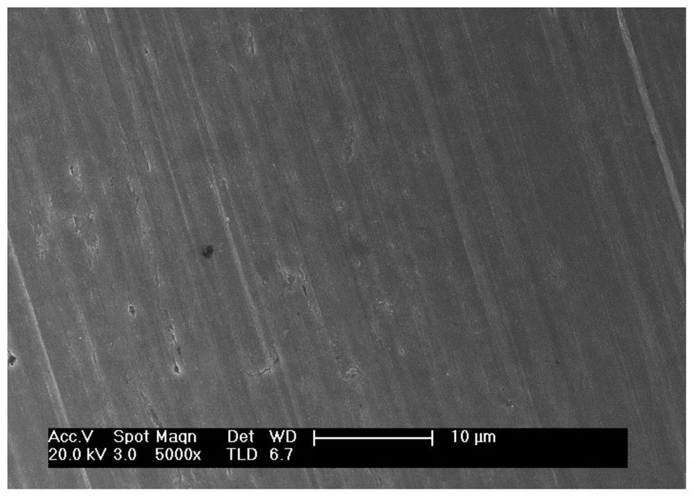 Preparation method and application of corrosion-resistant and fog-resistant copper-based super-hydrophobic surface with nest-shaped structure