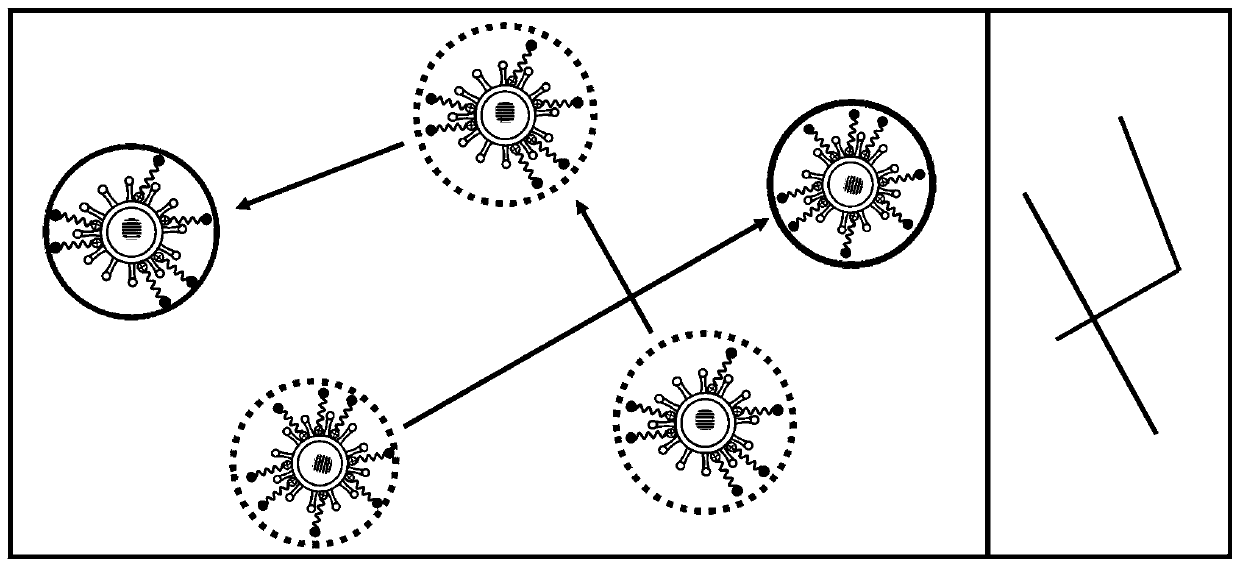 Rapid virus detection method based on single-molecule total internal reflection fluorescence imaging technology