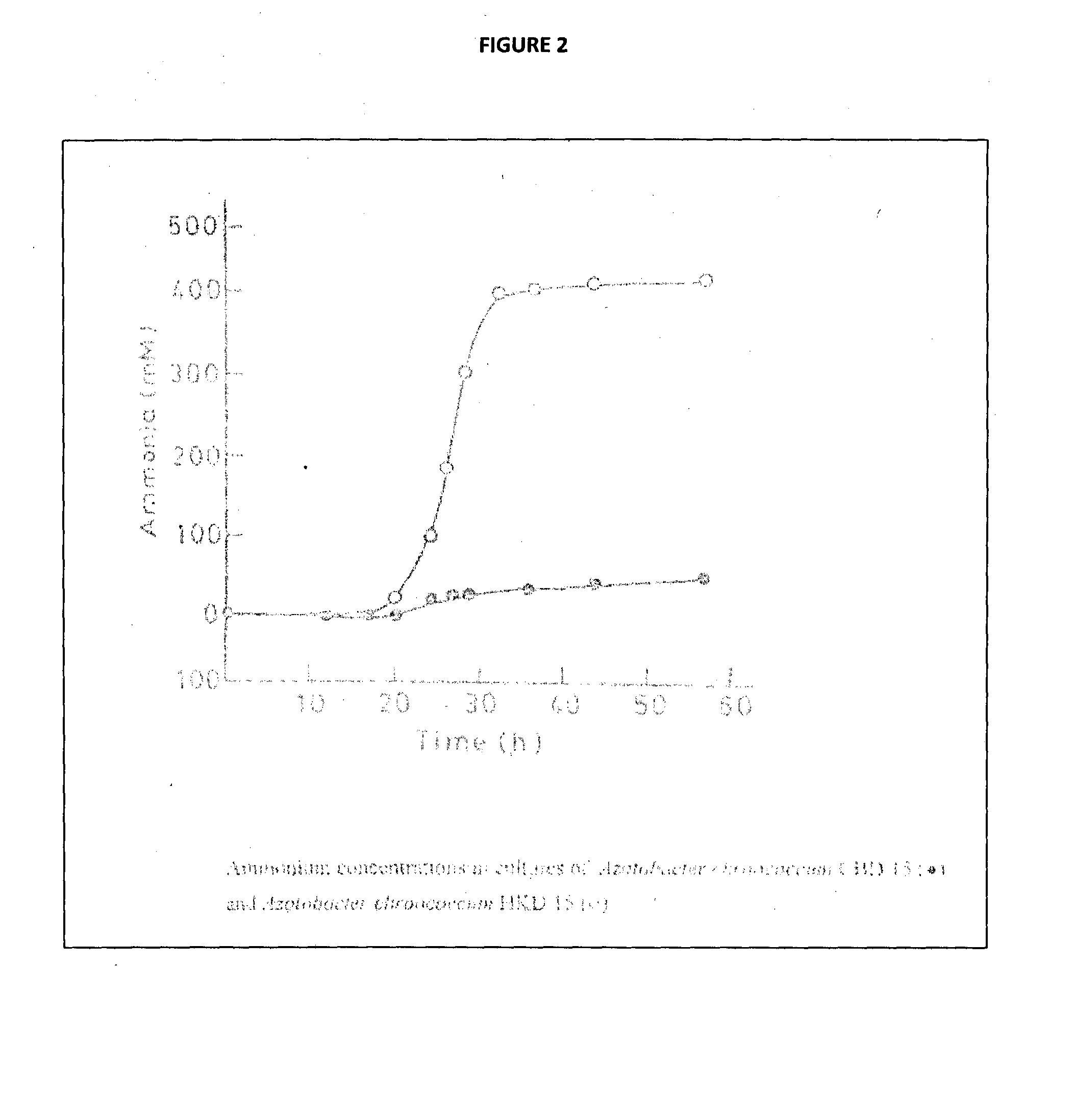 Recombinant nitrogen fixing microorganism and uses thereof