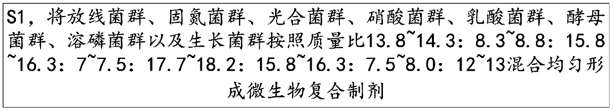 Compound microbial preparation and preparation method thereof