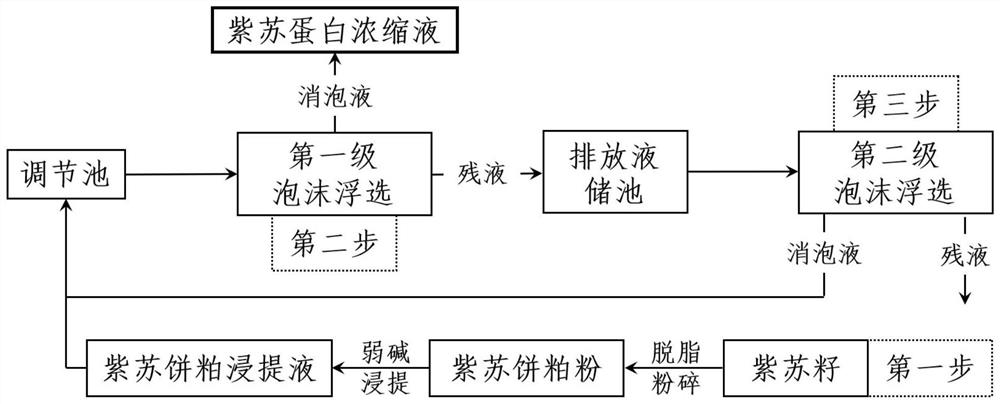 Two-stage froth flotation method for concentrating and separating protein in purple perilla cakes