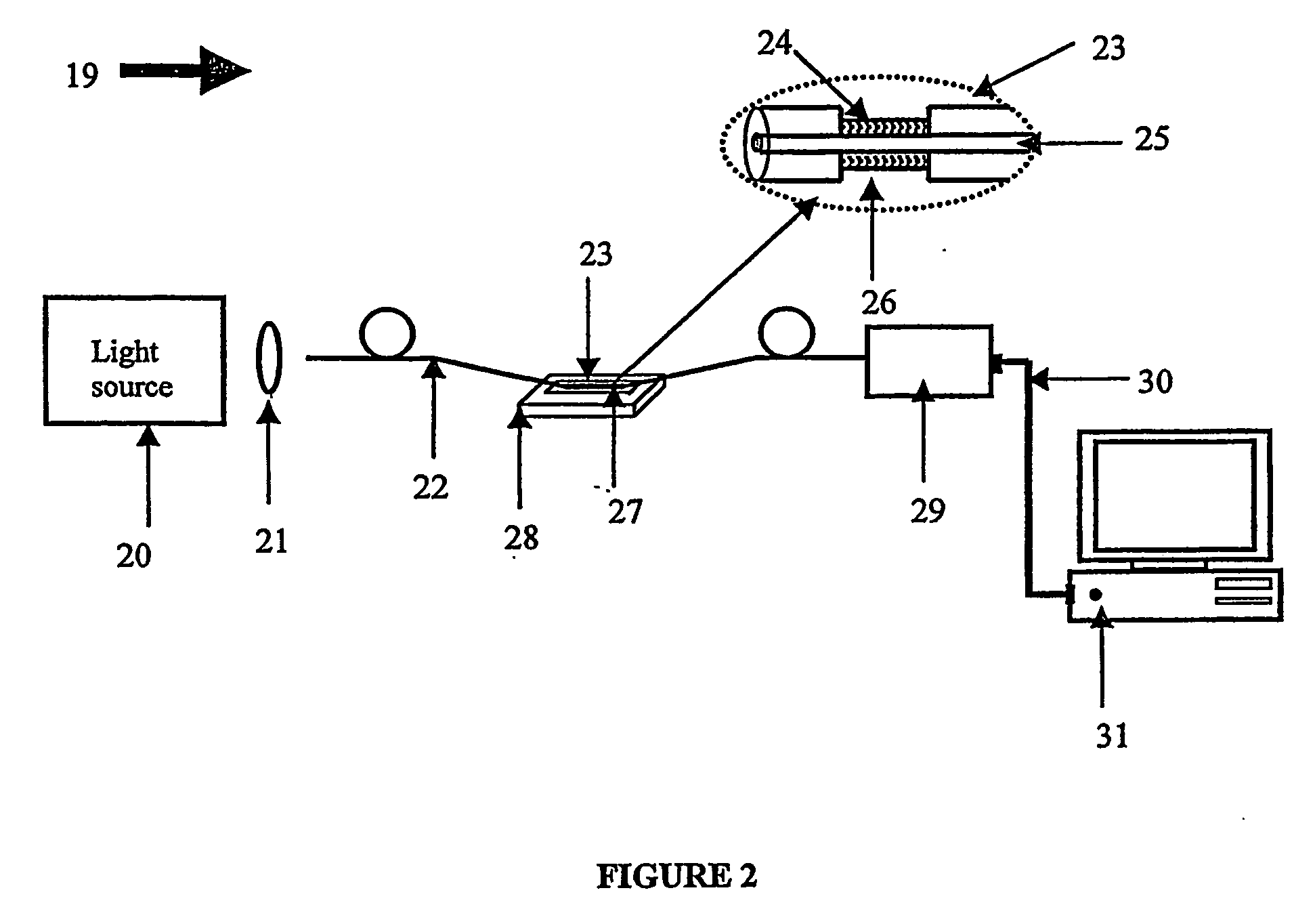 Fiber optic bio-sensor